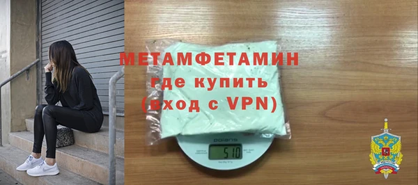 шишки Дмитровск