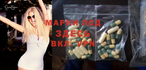стаф Дмитров