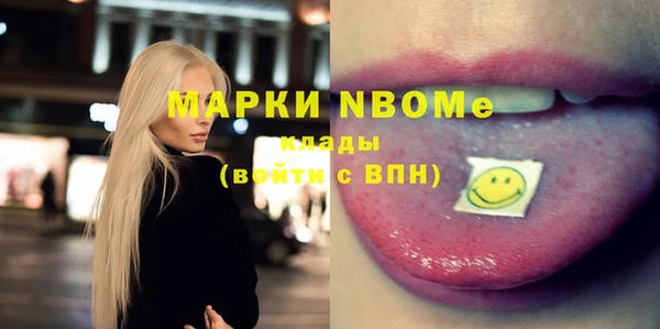 шишки Дмитровск