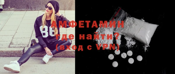 шишки Дмитровск