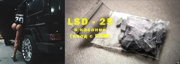 стаф Дмитров