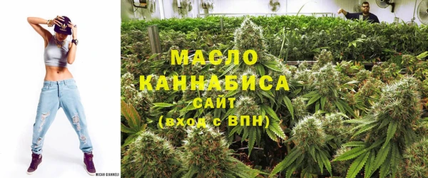 стаф Дмитров