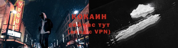стаф Дмитров