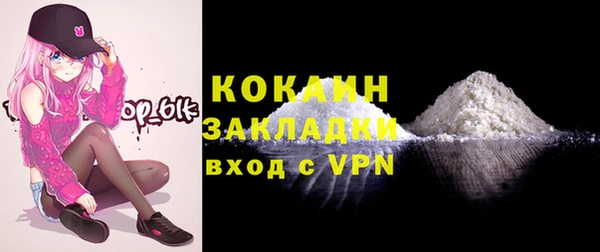 стаф Дмитров