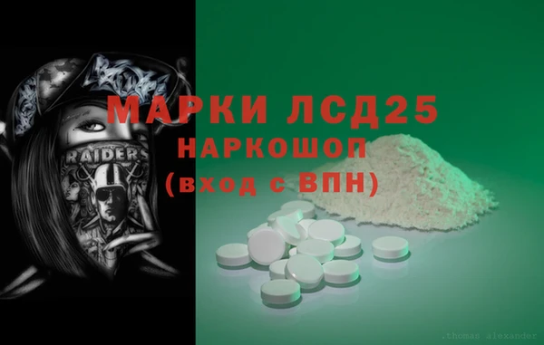 стаф Дмитров