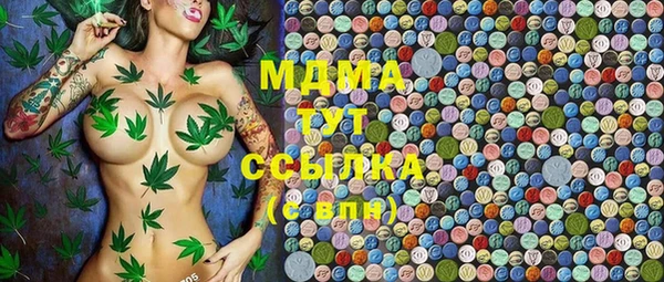 шишки Дмитровск