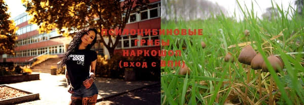 a pvp Дмитриев