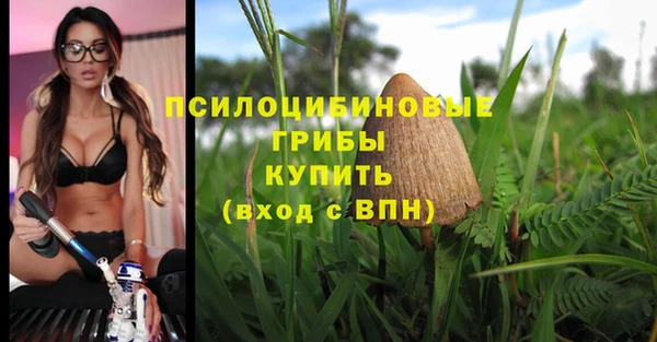 a pvp Дмитриев
