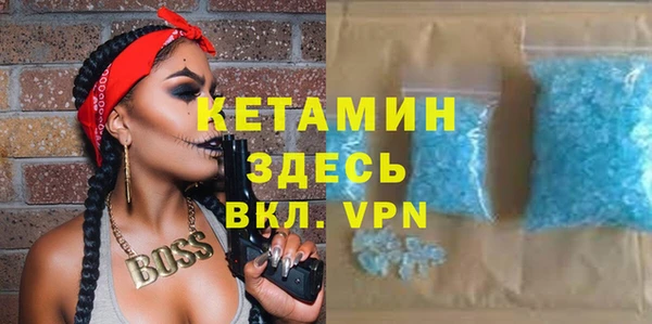 шишки Дмитровск