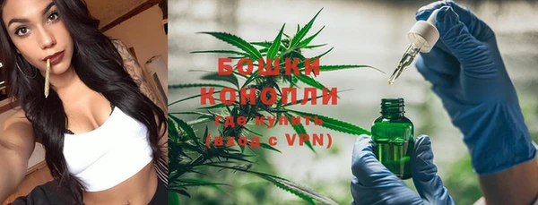 стаф Дмитров