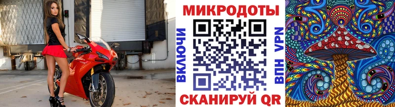 закладка  Железноводск  Псилоцибиновые грибы Psilocybe 