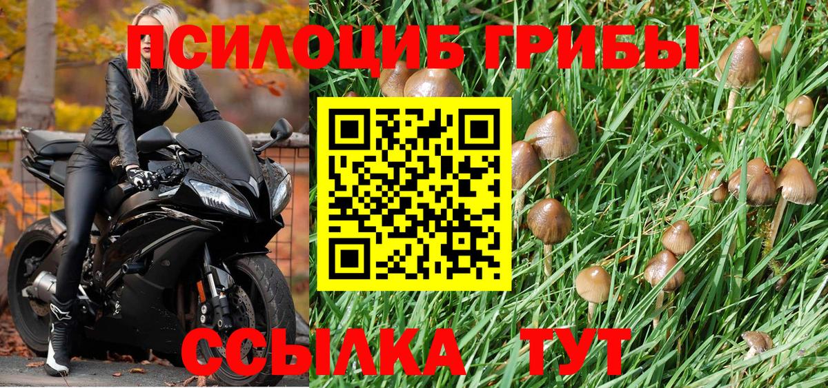 Железноводск  наркошоп  Вход с VPN  Псилоцибиновые грибы GOLDEN TEACHER 